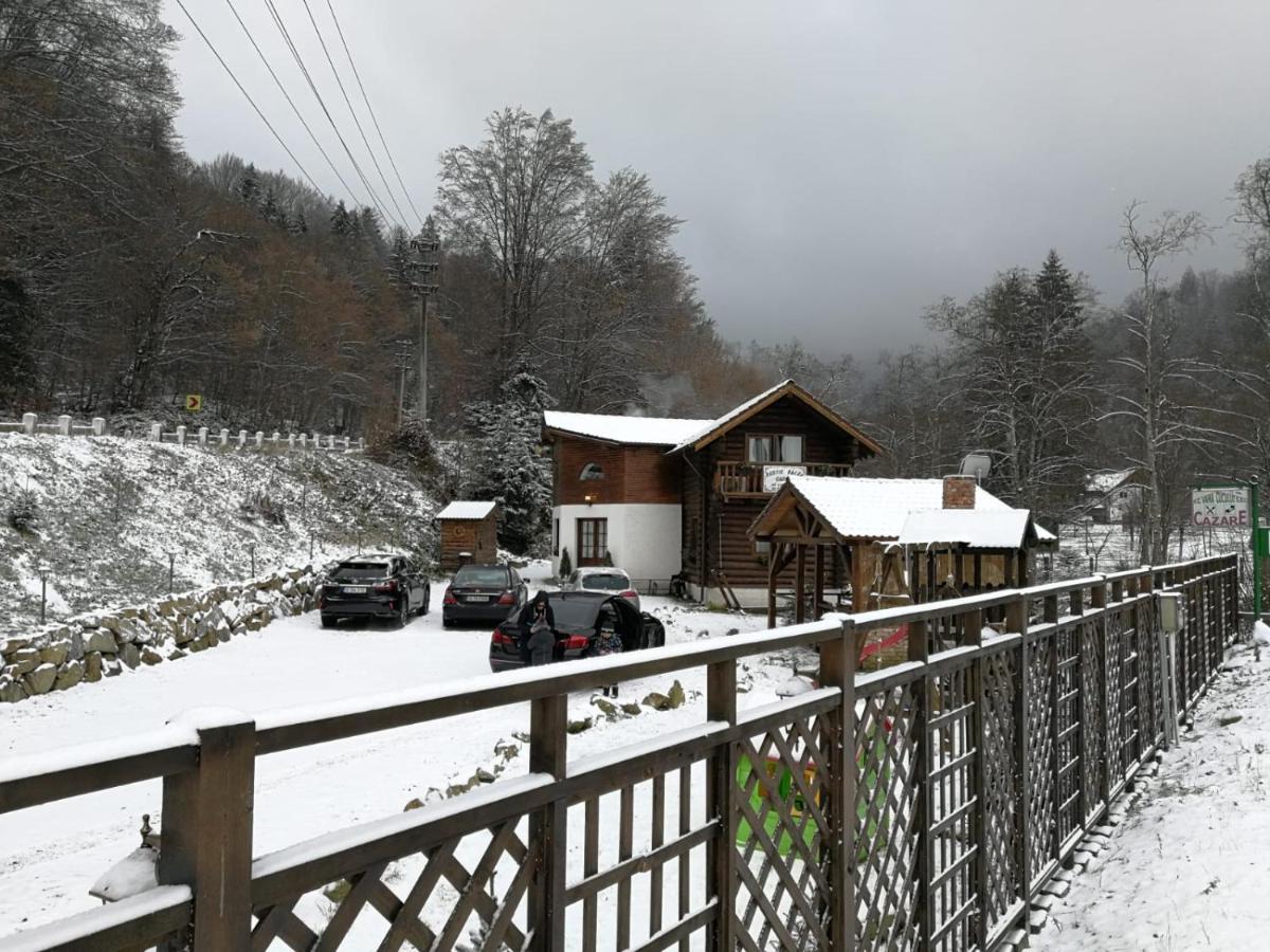 Cabana Rustic Balea Кырцишоара Экстерьер фото