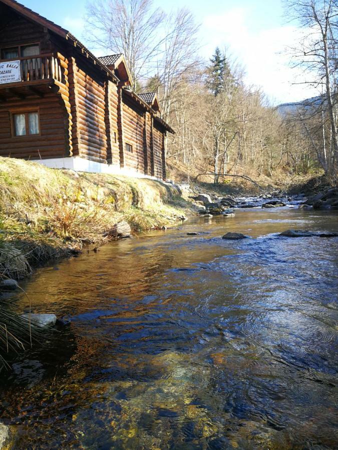 Cabana Rustic Balea Кырцишоара Экстерьер фото